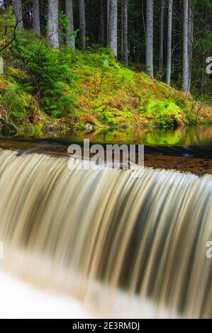 Kleiner Wasserfall im Wald Stockfoto