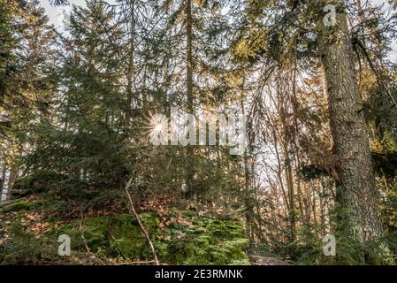 Der Hausstein-Gipfel bei Rusel Ruselabsatz bei Geisslinger Stein Königstein im Bayerischen Wald bei Deggendorf und Regen Stockfoto