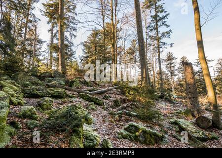 Der Hausstein-Gipfel bei Rusel Ruselabsatz bei Geisslinger Stein Königstein im Bayerischen Wald bei Deggendorf und Regen Stockfoto