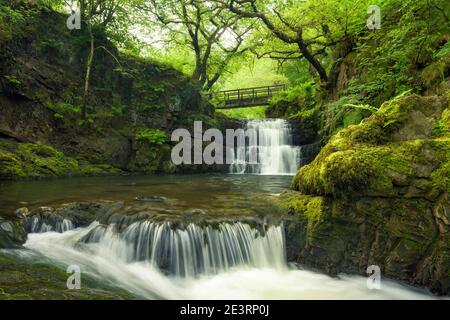 Sgydau Sychryd Falls im Bannau Brycheiniog (Brecon Beacons) National Park in der Nähe von Pontneddfechan, Powys, Wales. Stockfoto