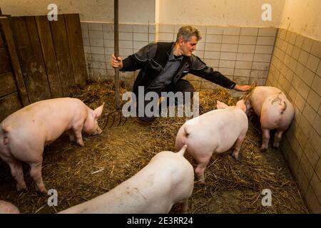 Guido Pusch, lässt Ferkel in den Schweinestall. Er betreibt das Seniorenheim auf dem Eifelhof in Marienrachdorf in Rheinland-Pfalz, wo die Senioren auch mit den Tieren in Kontakt kommen oder selbst am Hof arbeiten können. Stockfoto