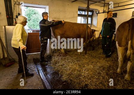 Karl Heinz Degen 70 (r.), hier mit Guido Pusch und Agnes Seibert bei seiner Arbeit im Kuhstall, lebt im Seniorenheim auf dem Eifelhof in Marienrachdorf in Rheinland-Pfalz, Wo die Senioren auch mit den Tieren in Kontakt kommen oder sogar selbst auf dem Bauernhof arbeiten können. Stockfoto