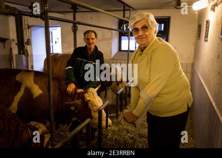 Karl Heinz Degen 70, hier mit Agnes Seibert bei seiner Arbeit im Kuhstall, lebt im Seniorenheim auf dem Eifelhof in Marienrachdorf in Rheinland-Pfalz, wo die Senioren auch mit den Tieren in Kontakt kommen oder selbst am Hof arbeiten können. Stockfoto