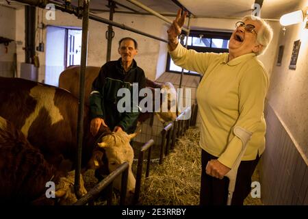 Karl Heinz Degen 70, hier mit Agnes Seibert bei seiner Arbeit im Kuhstall, lebt im Seniorenheim auf dem Eifelhof in Marienrachdorf in Rheinland-Pfalz, wo die Senioren auch mit den Tieren in Kontakt kommen oder selbst am Hof arbeiten können. Stockfoto