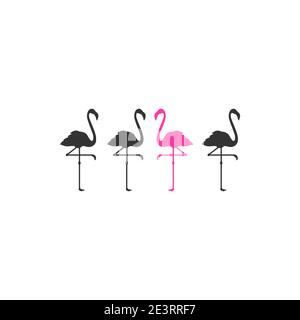 Pink Flamingo Logo. Schwarzer stehender Pinguin und ein violetter. Kreatives Label. Vektorgrafik. Seien Sie originelles Konzept. Symbol für tropische Vögel. Farbenfroh Stock Vektor