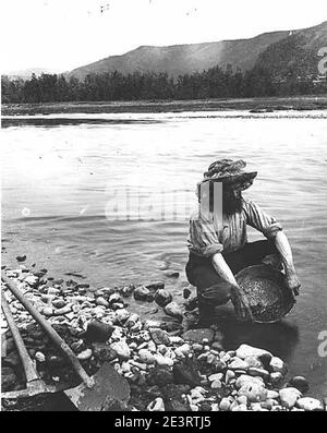 Mann mit Hut mit Moskitonetz, Goldschwenken im Strom mit Goldpfanne, Standort unbekannt, ca 1899 (WARNER 494). Stockfoto