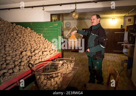 Karl Heinz Degen 70, hier mit Agnes Seibert, die Kartoffeln in der Scheune verpackt, wohnt im Seniorenheim auf dem Eifelhof in Marienrachdorf in Rheinland-Pfalz, wo die Senioren auch mit den Tieren in Kontakt kommen oder selbst am Hof arbeiten können. Stockfoto