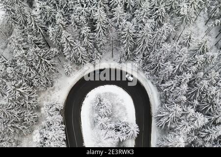 Luftaufnahme auf der Straße im Wald mit einem Auto im Winter. Winterlandschaft mit hohen Pinien mit Schnee bedeckt. Stockfoto