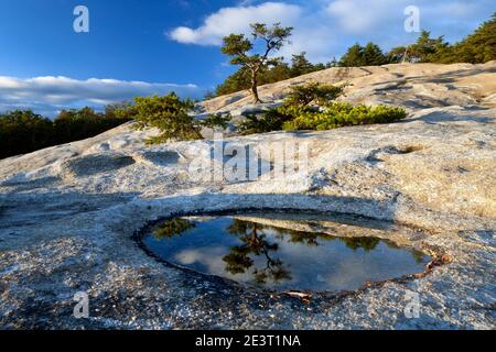 NC00378-00...NORTH CAROLINA - Blick vom Gipfel des Stone Mountain im Stone Mountain State Park. Stockfoto