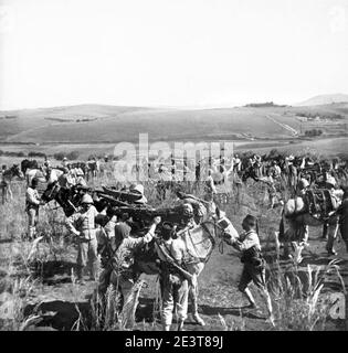 Manoeuvres du 7e régiment d'artillerie coloniale autour de Tananarive D68-42-419. Stockfoto