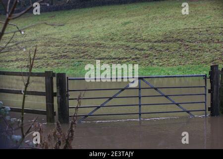 Holmfirth, Großbritannien. Januar 2021. Ein Blick auf ein überflutetes Feld in West Yorkshire. Teile des Vereinigten Königreichs, darunter South Yorkshire und Greater Manchester, sind in hoher Alarmbereitschaft, da Sturm Christoph heftigen Regen bringt, der Überschwemmungen und weitreichende Störungen verursachen dürfte. Kredit: SOPA Images Limited/Alamy Live Nachrichten Stockfoto