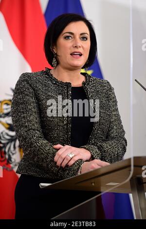 Wien, Österreich. 19. Januar 2021. Pressekonferenz mit Tourismusministerin Elisabeth Köstinger (ÖVP) zum Thema "Aktuelle Fragen zur Beschäftigung im Tourismus". Stockfoto