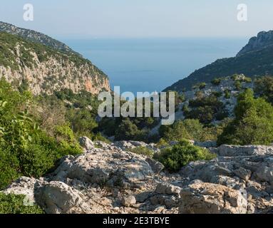 Ein Blick auf Tal mit felsigen Wanderweg nach Cala Goloritze Strand, Kalkstein Felsen und Meer. Berühmtes Reiseziel. Golf von Orosei, Sardinien, Italien Stockfoto