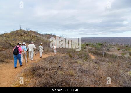 Touristen und der offizielle Guide wandern auf einem Fußweg durch dürren Buschland am Dragon Hill, Santa Cruz Island, Galapagos Islands, Ecuador Stockfoto