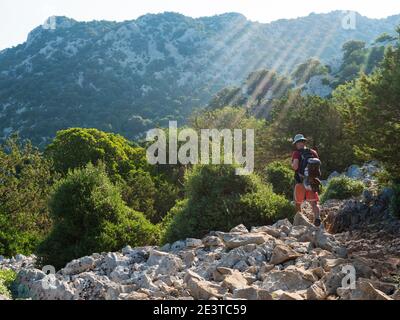 Mann Wanderer auf felsigen Wanderweg zum Cala Goloritze Strand mit Kalkstein Felsen, Bäumen und grünen Busch. Berühmtes Reiseziel. Golf von Orosei, Sardinien Stockfoto