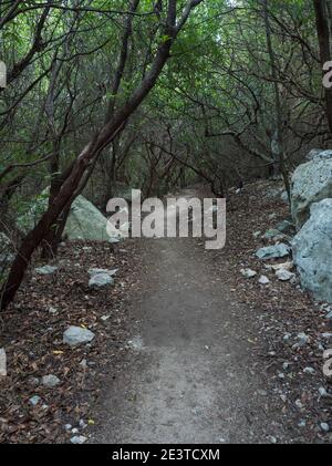 Schotterweg von Wanderweg nach Cala Goloritze in grünen Wald mit Kalkstein Felsen und mediterraner Vegetation, Nuoro, Sardinien, Italien Stockfoto