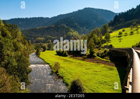 Der Fluss Kinzig bei Halbmeil zwischen Schiltach und Wolfach, Baden-Württemberg, Deutschland. September. Stockfoto