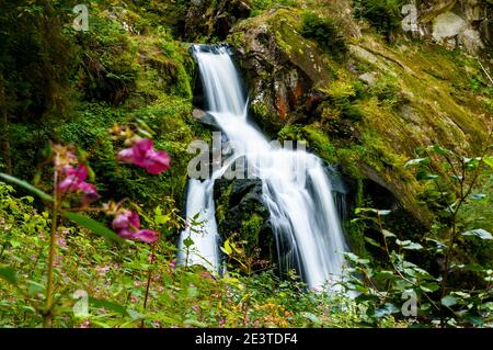 Ein Abschnitt von Deutschlands höchstem Wasserfall am Triberg im Schwarzwald. September. Stockfoto