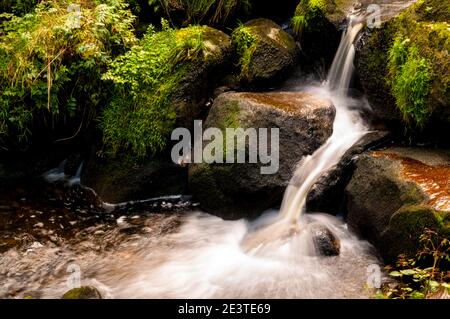 Ein Abschnitt von Deutschlands höchstem Wasserfall am Triberg im Schwarzwald. September. Stockfoto