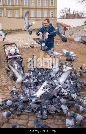 Mann mit Baby füttert viele Tauben mit Brot in der Altstadt von Prag. Füttern der hungrigen Vögel Stockfoto