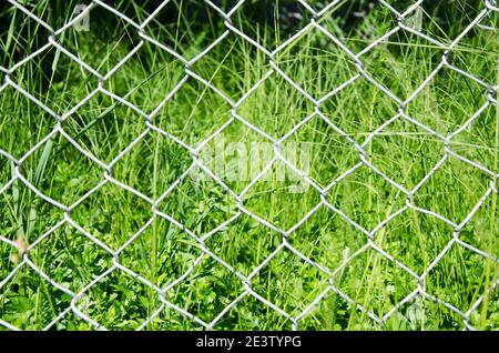 Drahtzaun im Garten, im Gras Stockfoto