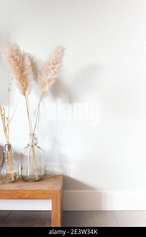 Getrocknete Pampas Gras in Glasvase auf Holztisch in der Nähe von weißem Hintergrund, moderne helle Dekoration für Zuhause, kopieren Raum Stockfoto