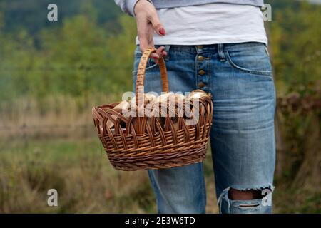 Korb mit Pinzetten, in der Hand eines Mädchens Stockfoto