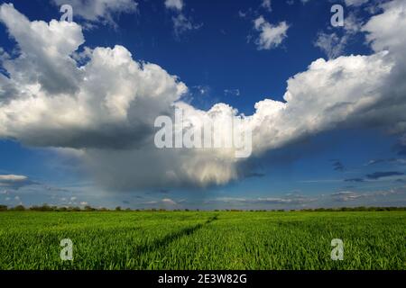 Regen und weiße Wolken über grünem Feld Stockfoto