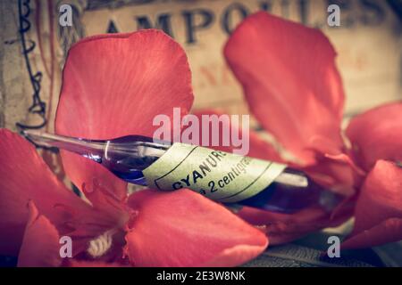 Nahaufnahme von alten blauen Cyanid-Ampullen mit grünen Aufklebern auf rosa Oleander-Blütenblättern. Eine alte pharmazeutische Box im Hintergrund. Übersetzung: Cyanid, Stockfoto