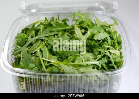 Eruca sativa rucola arugula frische grüne Rucola Salatblätter in einer Plastikverpackung. Stockfoto
