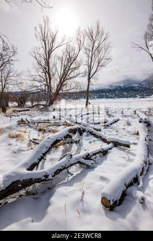 Aufräumen des Sturmhimmels; frischer Schnee auf der Weide; zentrale Ranch in Colorado; Salida; USA Stockfoto