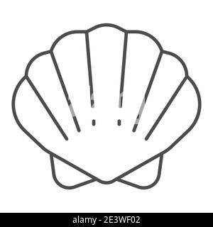 Shell dünne Linie Symbol, Ozean-Konzept, Schalentiere Shell-Zeichen auf weißem Hintergrund, Muschelsymbol in Umriss-Stil für mobile Konzept und Web-Design Stock Vektor