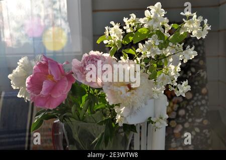 Sommerlicher heller Bukett mit Pfingstrose und Jasmin auf Fensterbank Die Sonne Stockfoto