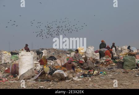 Neu Delhi, Indien. Januar 2021. Auf der Mülldeponie Bhalswasuchen die Müllsammler nach Wertstoffen. Quelle: Vijay Pandey/dpa/Alamy Live News Stockfoto