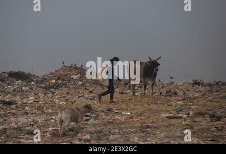 Neu Delhi, Indien. Januar 2021. Ein junger Fetzen-Picker sucht im Müll auf der Mülldepsite Bhalswo nach Wertstoffen. Quelle: Vijay Pandey/dpa/Alamy Live News Stockfoto