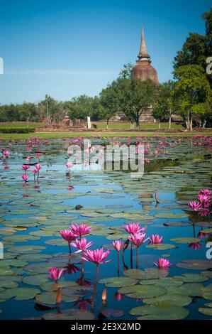 Morgen im Sukhothai historischen Park, Thailand Stockfoto