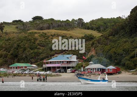 Restaurant- und Touristenboote, Pinguinkolonie in Bahia Punihuil, Chiloe Island, Region Los Lagos, Südchile 11. Jan 2016 Stockfoto