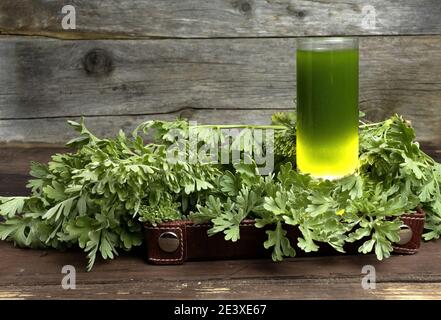 Absinthgetränk auf Holzgrund mit der Absinthpflanze mit Die es gemacht wurde Stockfoto