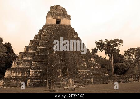 Tempel 1 in Tikals Central Plaza Stockfoto