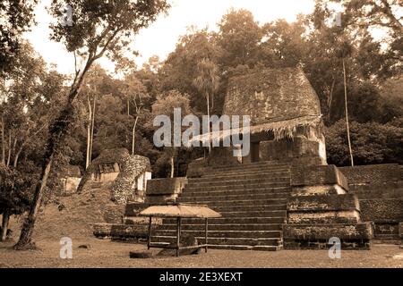 Maya-Tempel im Tikal National Park Stockfoto