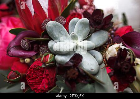 Leuchtend rote Herbst Designer-Bouquet Pfingstrose, Rosen, Sukkulenten, Calla Lilien close-up. Brautstrauß, Hochzeitszubehör. Floraler Hintergrund für eine Holida Stockfoto