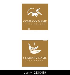 Eukalyptus Blätter Logo Vektor Vorlage Design Illustration Stock Vektor