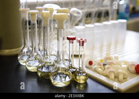 Ölproben, die bereit sind, im Labor getestet zu werden, Nahaufnahme mit selektivem Fokus. Stockfoto