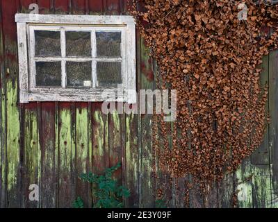 Alte vall mit Fenster Foto: Bo Arrhed Stockfoto