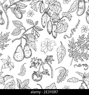 Nahtloses Muster mit Avocado, Tomaten, Pfeffer und anderen Gemüsepflanzen. Handgezeichnete Vektor-Illustration, schwarz-weiße Linie Kunst, gesunde Ernährung, V Stock Vektor