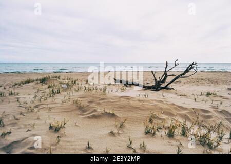 Einsamer Strand im Delta del ebro, tarragona, spanien. Der Tag ist bewölkt und windig. Stockfoto