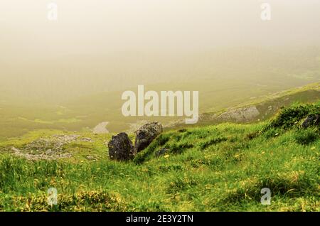 Neblige Morgen Sommer Märchen Landschaft mit grünem Gras, Felsen und Kopie Raum Stockfoto