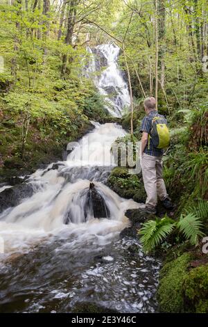 Walker neben dem Pulhowan Wasserfall in der, RSPB Schottland, Wood of Cree Naturschutzgebiet in der Nähe von Newton Stewart, Galloway, Schottland. Stockfoto