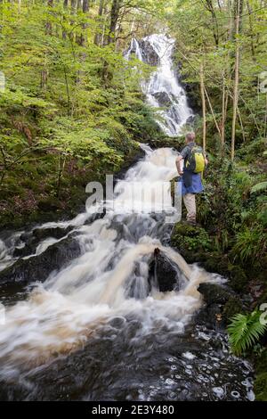 Walker neben dem Pulhowan Wasserfall in der, RSPB Schottland, Wood of Cree Naturschutzgebiet in der Nähe von Newton Stewart, Galloway, Schottland. Stockfoto