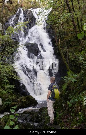 Walker neben dem Pulhowan Wasserfall in der, RSPB Schottland, Wood of Cree Naturschutzgebiet in der Nähe von Newton Stewart, Galloway, Schottland. Stockfoto